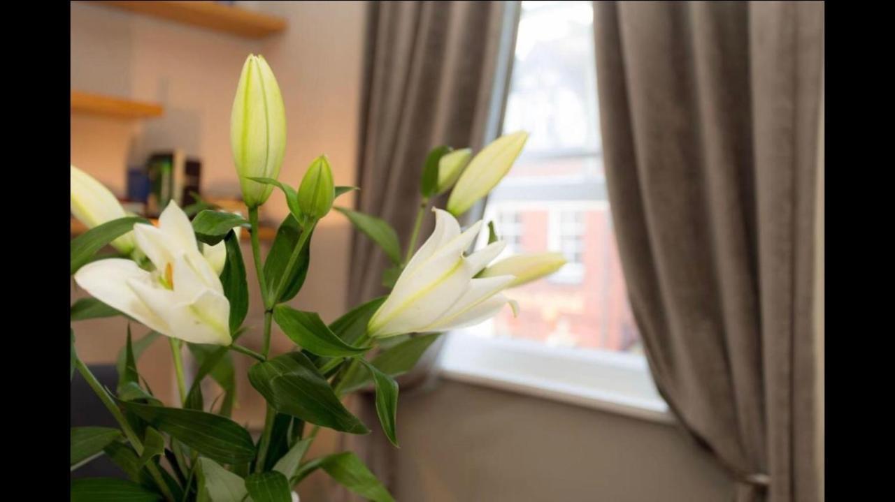 Apartment Beautiful Centre Close To Minster *